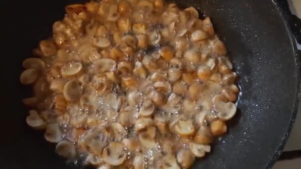 フライパンで油を調理中のボタンキノコ — ストック動画