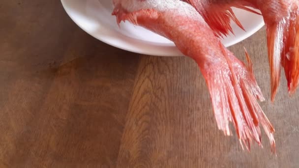 两只冻得头破血流的红鱼尸体 — 图库视频影像