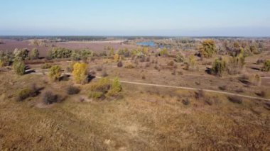 Çayırları nadiren büyüyen ağaçlarla doldur. Nehrin yanında, hava manzaralı.