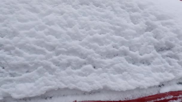 Texture New Fallen Fluffy Snow Layer Vertical Surface — Vídeos de Stock