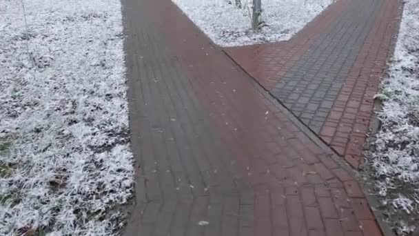 脇に新雪の舗装スラブが並ぶ歩道 — ストック動画