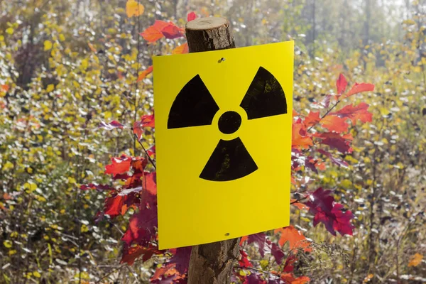 Ionizing Radiation Hazard Sign Form Black Trefoil Yellow Sheet Nailed — Stock fotografie