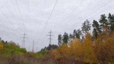 Overhead power lines among the autumn forest in overcast weather