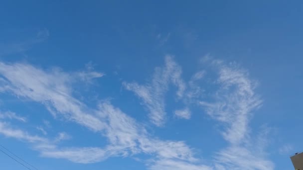 Blue Sky Cirrus Clouds Multistory Building — Stockvideo