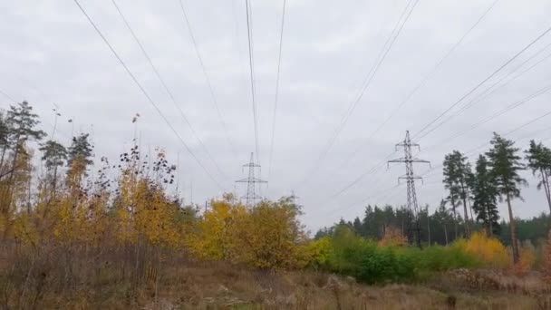 曇天の秋の森の中の架空送電線 — ストック動画