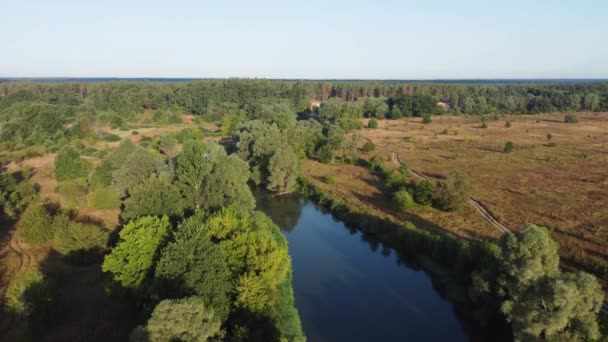 River Flowing Flood Meadows Summer Aerial View — Stockvideo