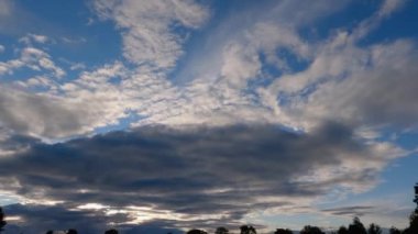 Sky with cumulus and storm clouds above trees at sunset