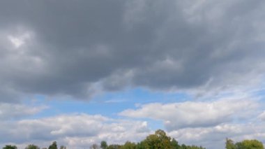 Sky with cumulus clouds above trees while panning