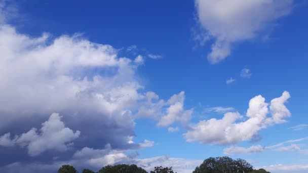 Sky Cumulus Storm Clouds Trees Sunset — Stock video
