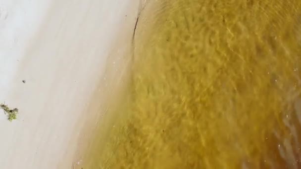 Sandy Coast Reservoir Water Edge Aerial View — Stock Video