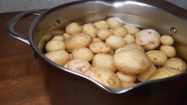 Roh Geschälte Junge Kartoffeln Edelstahltopf Mit Wasser — Stockvideo