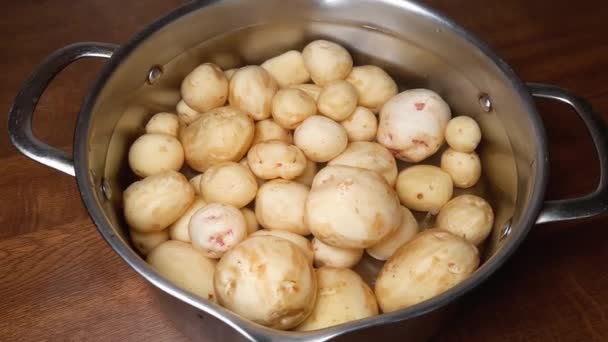 Roh Geschälte Junge Kartoffeln Edelstahltopf Mit Wasser — Stockvideo