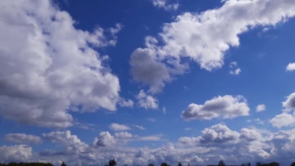 Lapso Tempo Nuvens Cumulus Céu Azul — Vídeo de Stock