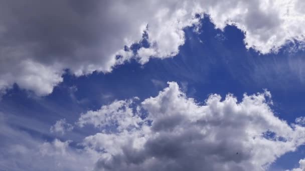 Time Lapse Cumulus Cirrus Clouds Blue Sky — Stockvideo