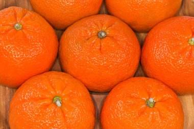 Whole ripe tangerines Murcott, also known as honey tangerines on the wooden dish, fragment, top view close-up clipart