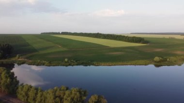 Processed and sown fields next the pond, aerial view