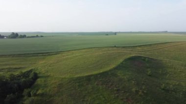 Slightly hilly sown fields in summer morning, aerial view
