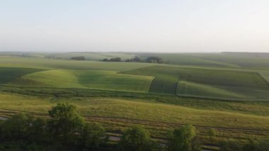 Sown fields on valley hilly slopes in morning, aerial view