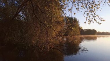 Pond with fog over water, trees on shore at sunrise