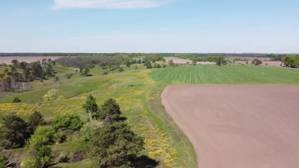 Обработанные Посевные Поля Соседней Долины Оврагами Вид Воздуха — стоковое видео