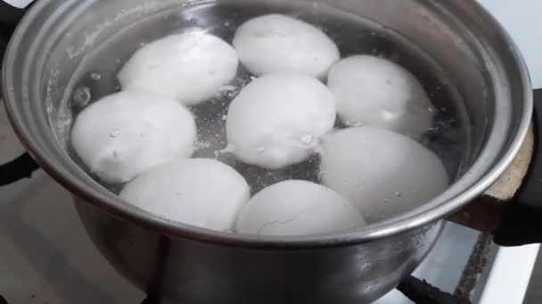 小さなステンレス製の鍋で沸騰中の白い鶏の卵 — ストック動画