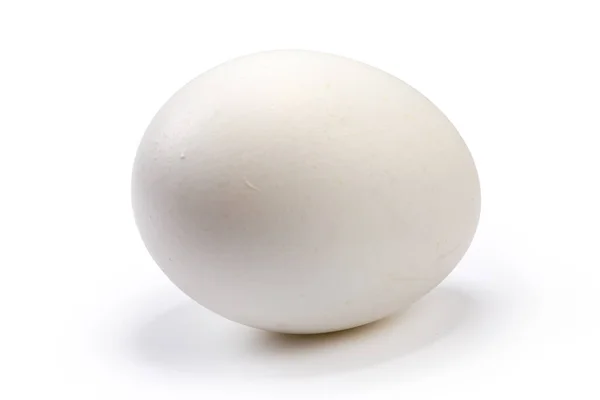 Beyaz Arka Planda Tam Beyaz Tavuk Yumurtası — Stok fotoğraf