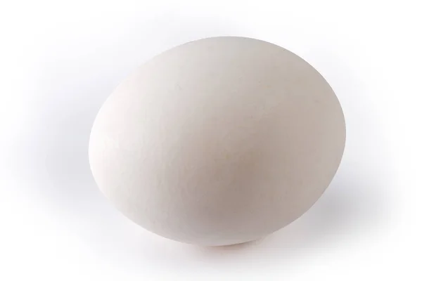 Whole White Chicken Egg White Background Close — Stock Photo, Image