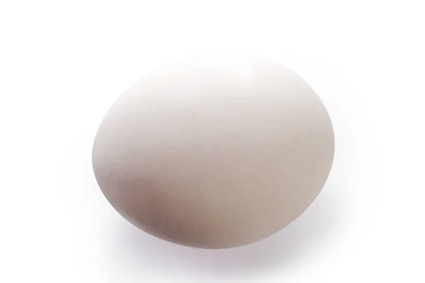 Whole White Chicken Egg Illuminated White Background Close — Stock Photo, Image