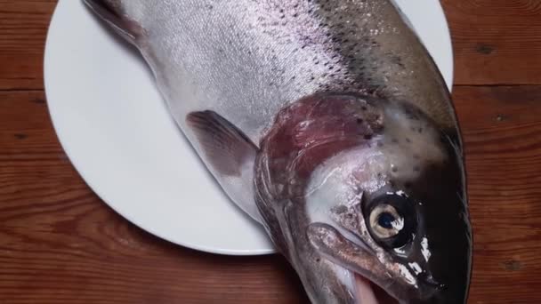 新鲜的彩虹鳟鱼在乡村餐桌上的白色大盘上 — 图库视频影像