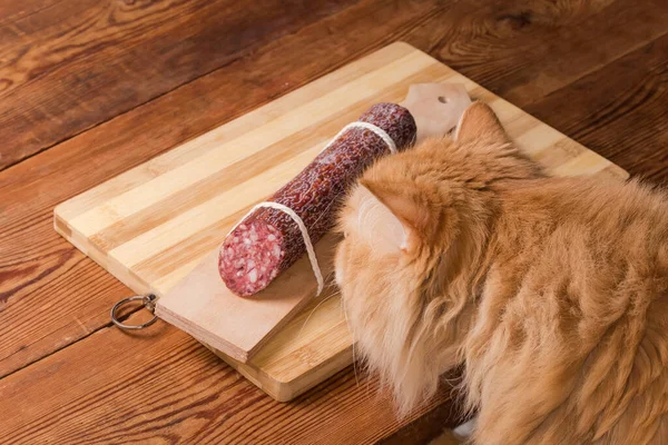 Fluffy ginger cat reaching to cured-smoked sausage on cutting board on the old rustic table and sniffing her