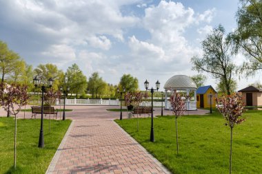 Çiçek açan erik ağacının genç ağaçları, aynı zamanda siyah kiraz eriği olarak da bilinir, her iki tarafa da park yolu boyunca dikilmiş.
