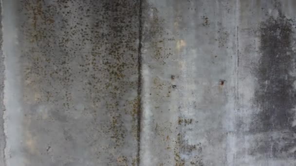 Old Concrete Wall Outdoors Overcast Weather — Wideo stockowe