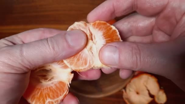 Séparation Mandarine Pelée Tranches Dans Les Mains — Video