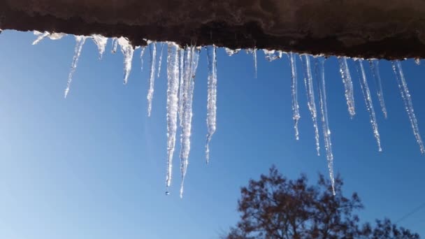 Icicles Industrial Building Roof Sky — Video Stock