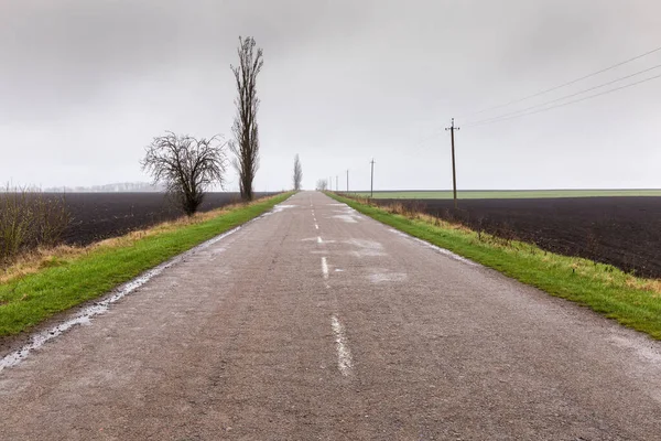 春の曇り霧の雨の日に両側に耕され 播種された農業分野の間でぬれた農村アスファルト道路 — ストック写真