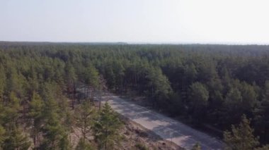 Çam ormanlarının arasında asfalt yol, hava manzarası