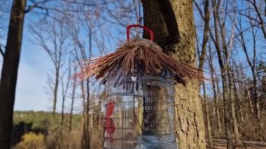 Ev yapımı kuş yemi. Su için plastik büyük bir şişeden yapılmış.