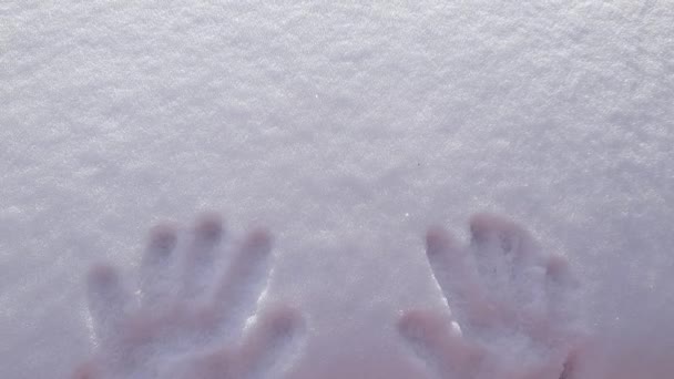 Νεόδμητο Αφράτο Στρώμα Χιονιού Σχέδιο Απλωμένων Δακτύλων — Αρχείο Βίντεο