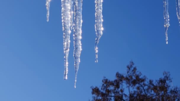 Icicles Hanging Industrial Building Roof Sky — Stock Video