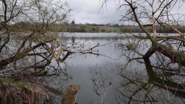 Lago Com Árvores Velhas Caídas Água Primavera — Vídeo de Stock