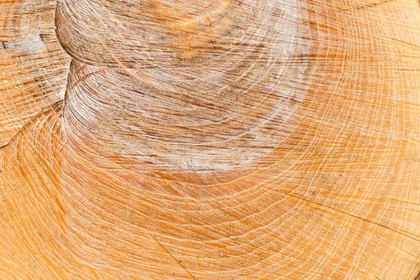 成長環とチェーンソーの痕跡を持つ古い厚い灰の木の切り株 曇りの天候での切り株表面のクローズアップの質感 — ストック写真