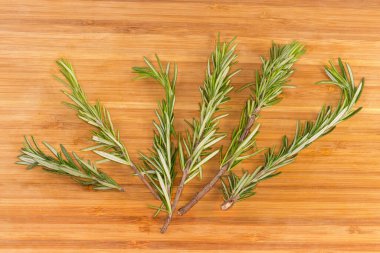 Tahta kesme tahtasının üzerinde taze biberiyenin birkaç dalı