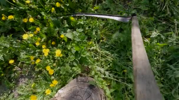Eski Bir Kütüğün Etrafında Tırpanla Çim Biçmek Üst Manzara — Stok video