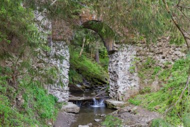 Eski manzaralı kemerli taş... Karpatlar 'ın ormanlık arazisindeki dağlık derenin üstündeki dar geçitten geçen... yarı tahrip edilmiş demiryolu köprüsü... bahar sabahı...