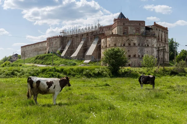 Östlicher Eckturm Und Verteidigungsmauer Der Burg Medzhybizh Aus Dem Jahrhundert — Stockfoto