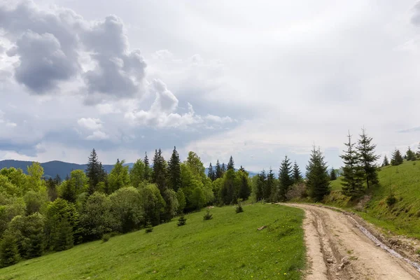 Górska Łąka Polną Drogą Nad Lasem Przed Zachmurzonym Niebem Wiosną — Zdjęcie stockowe