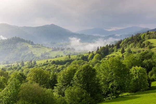 Crêtes Montagneuses Avec Hêtraie Premier Plan Dans Les Carpates Vue — Photo