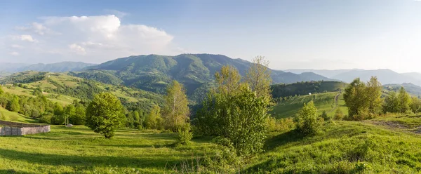 在喀尔巴阡山脉 在阳光明媚 多风的天气里 山脉森林中的山地草甸 在春天里 全景尽收眼底 — 图库照片