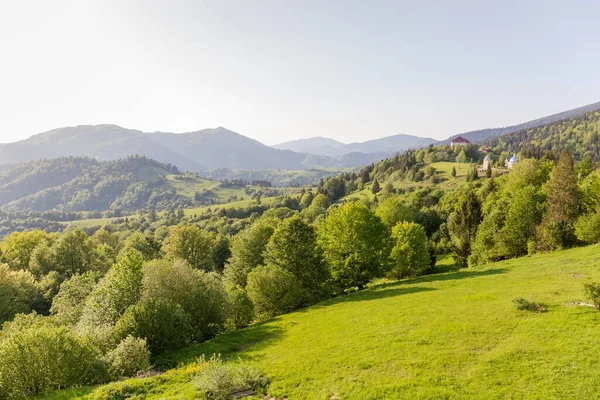 Mountain Meadows Forests Hills Ranges Sunny Windy Weather Late Day — Stock Photo, Image