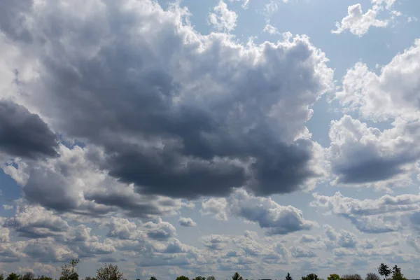 Ausschnitt Des Himmels Mit Kumulus Und Regenwolken Über Den Baumwipfeln — Stockfoto